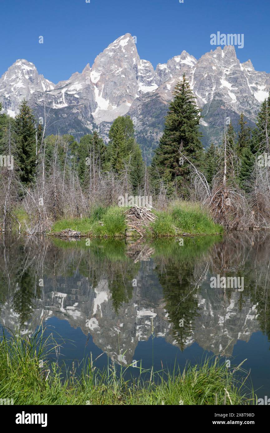 USA, Wyoming, Grand Teton National Park, riflessi d'acqua del Teton Range, Beaver House (primo piano), presi dalla fine di Schwabacker Road Foto Stock