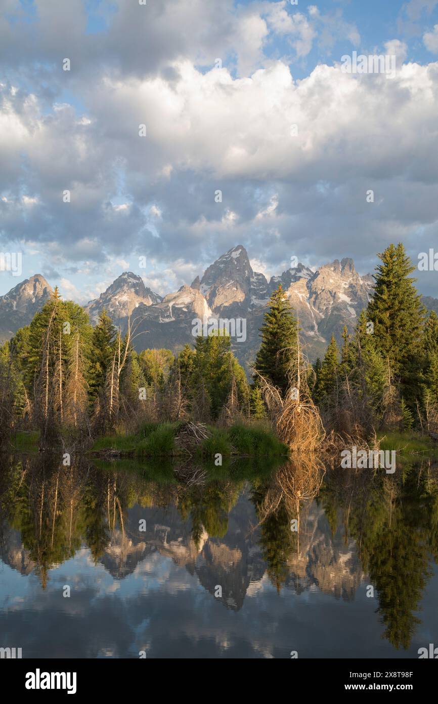 USA, Wyoming, Grand Teton National Park, riflessi d'acqua del Teton Range, Beaver House (primo piano), presi dalla fine di Schwabacker Road Foto Stock