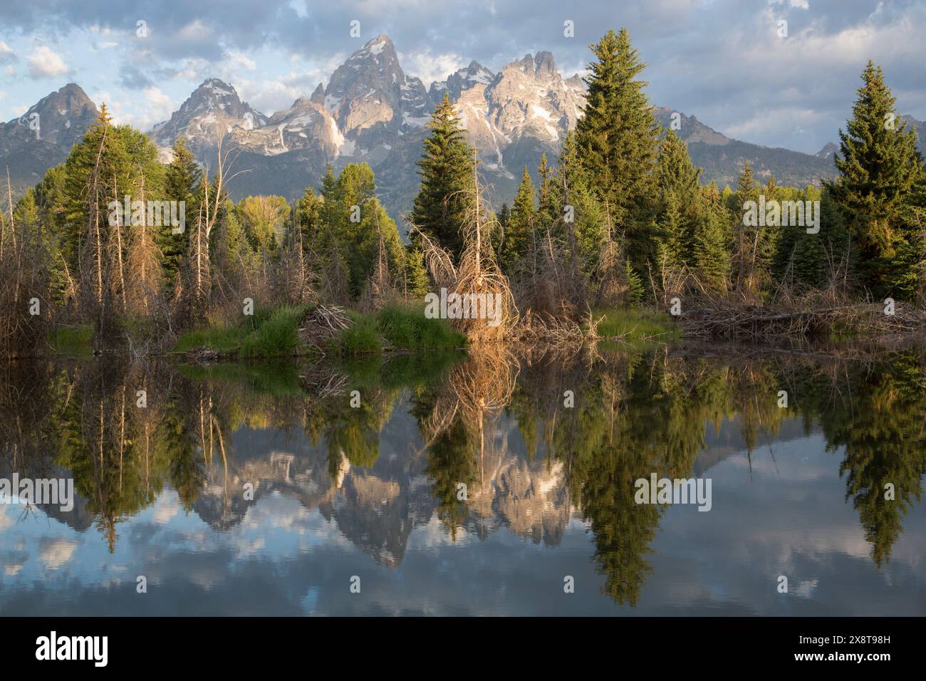 USA, Wyoming, Grand Teton National Park, riflessi d'acqua del Teton Range, Beaver House (primo piano), presi dalla fine di Schwabacker Road Foto Stock