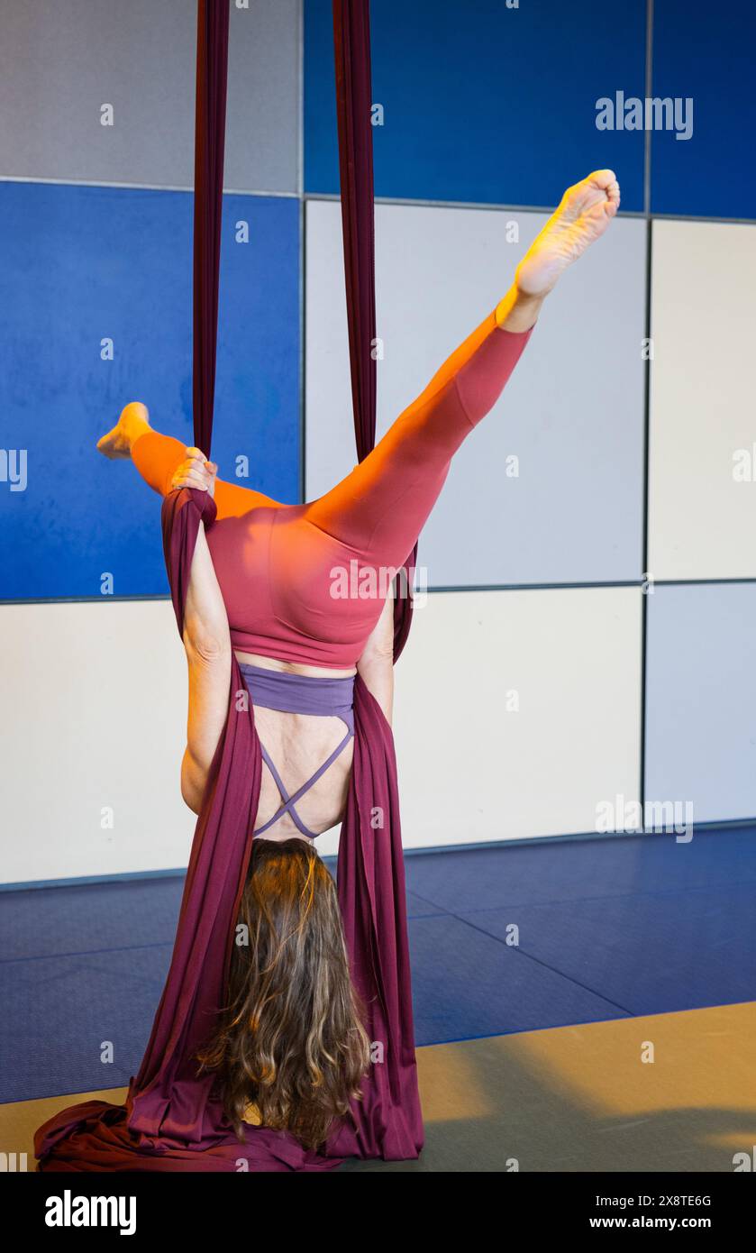 Una donna è appesa al rovescio con un tessuto aeroplano color marrone, mostrando le sue abilità acrobatiche in una palestra. E' a metà delle prestazioni, dimostrando forza Foto Stock