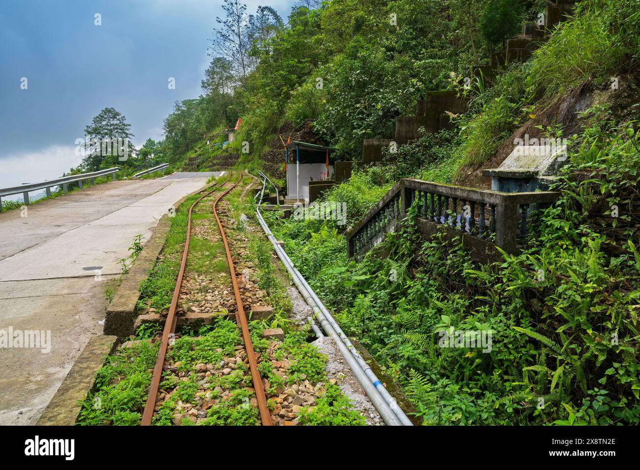Strada di cemento che passa attraverso le montagne himalayane e la lussureggiante foresta verde. Splendida bellezza naturale dei monsoni a Darjeeling, Bengala Occidentale, India. Foto Stock