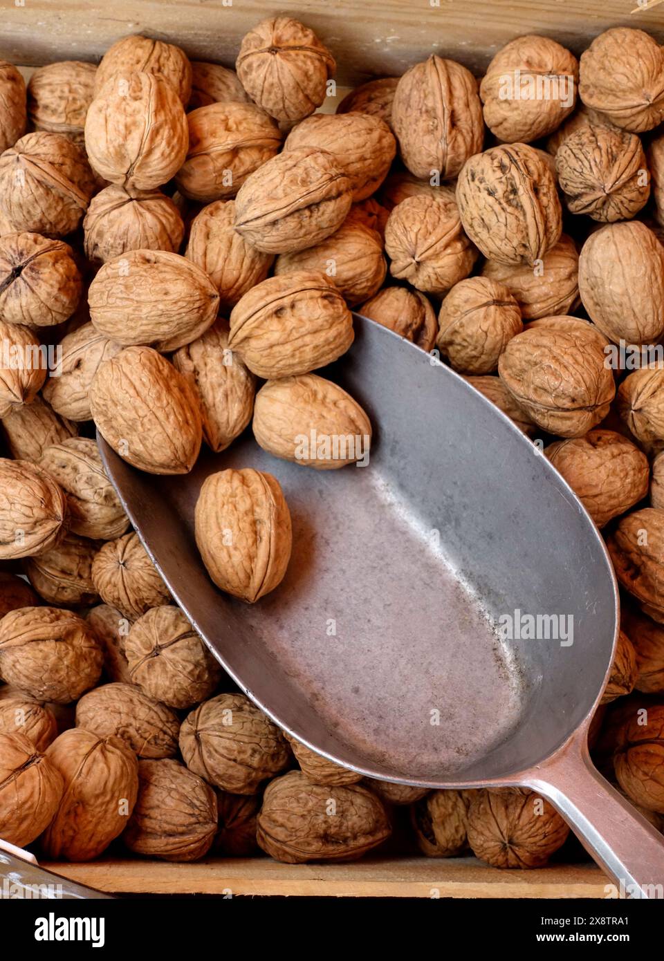 Noci di noci in un mercato agricolo locale in Provenza, Francia Foto Stock