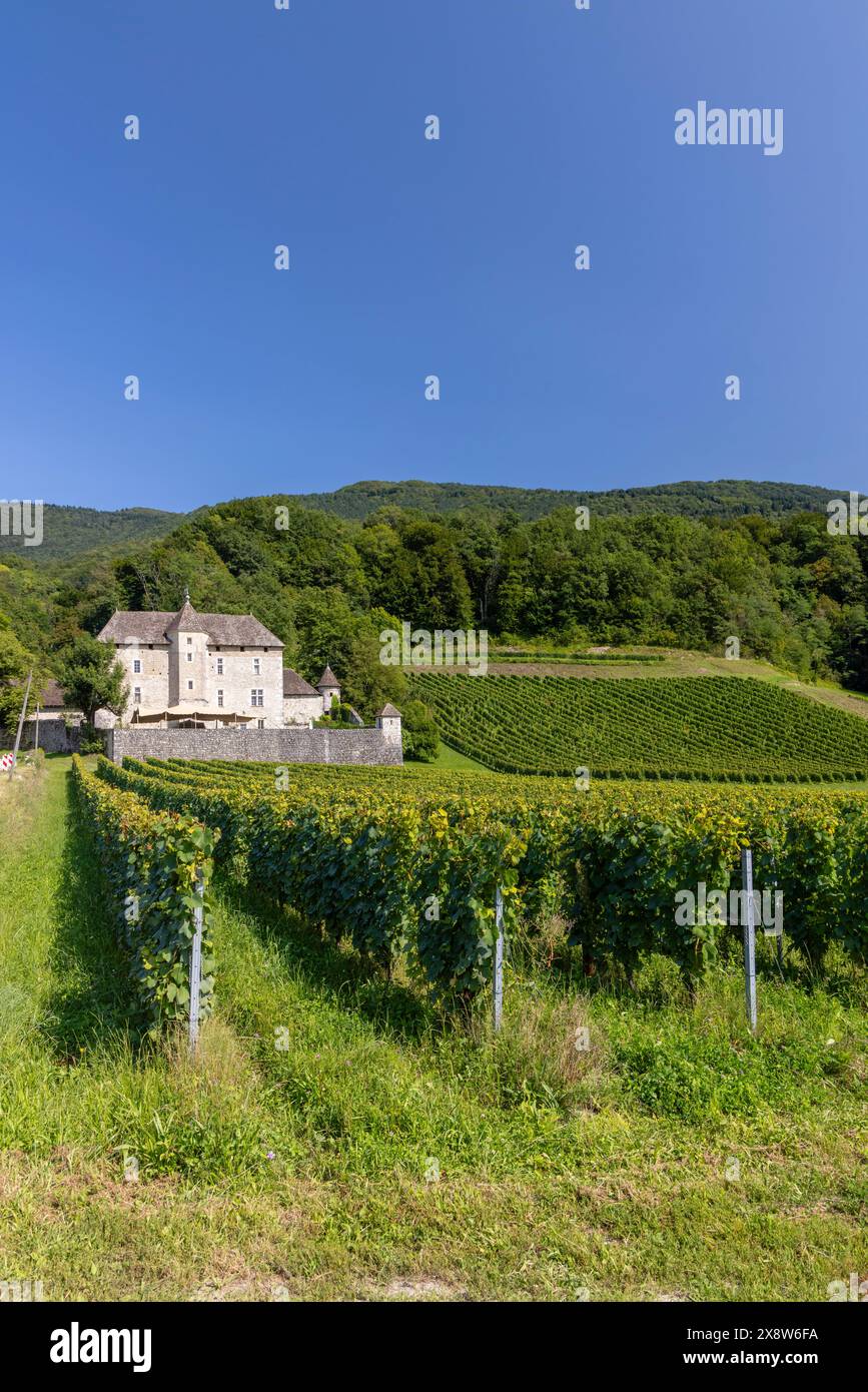 Chateau du Grand Mecoras Chateau de Grand Mercoras, Auvergne-Rodano-Alpes, Savoia, Francia Foto Stock