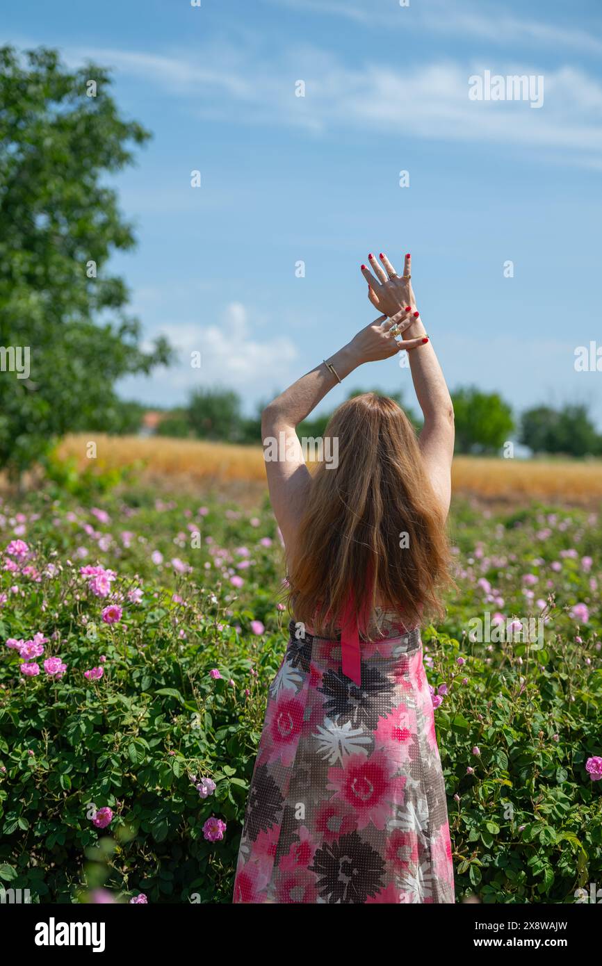 Donna bionda con le mani in alto in un campo di rose. Famosa rosa di Isparta. Foto Stock