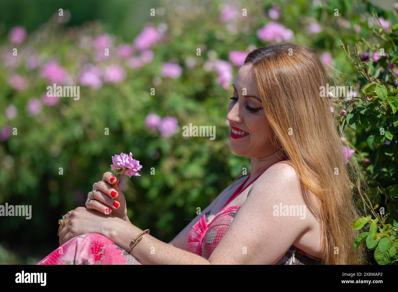 Bionda, giovane e bella donna che puzza la rosa in mano nel campo di rose. La famosa rosa di Isparta. Foto Stock