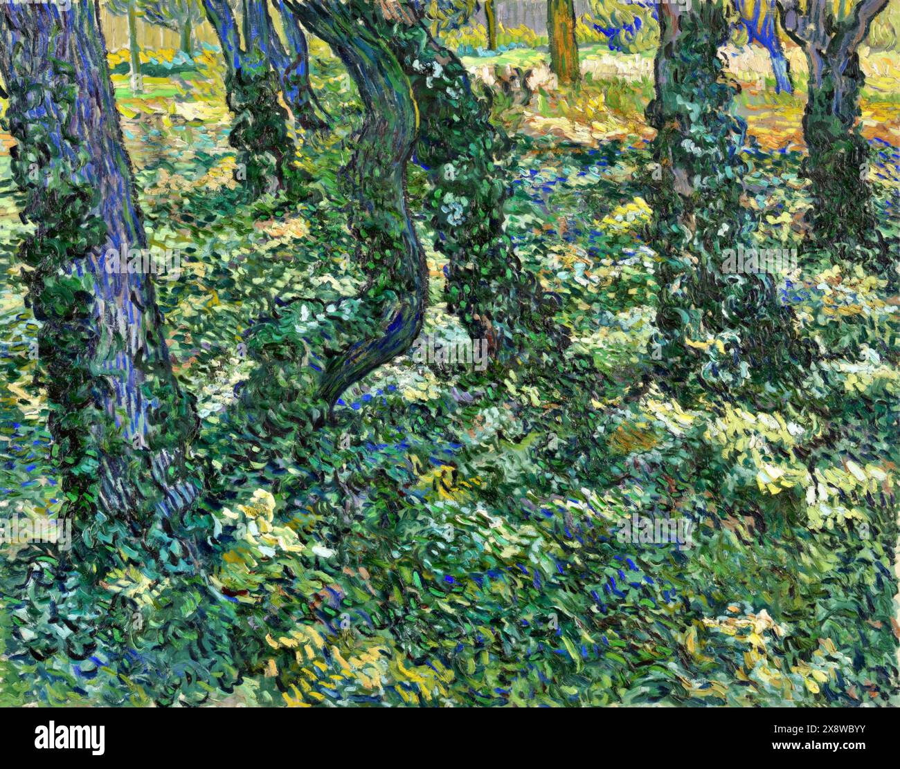 Undergrowth, 1889 (Pittura) artista Gogh, Vincent van (1853-90) olandese. Illustrazione Vettoriale