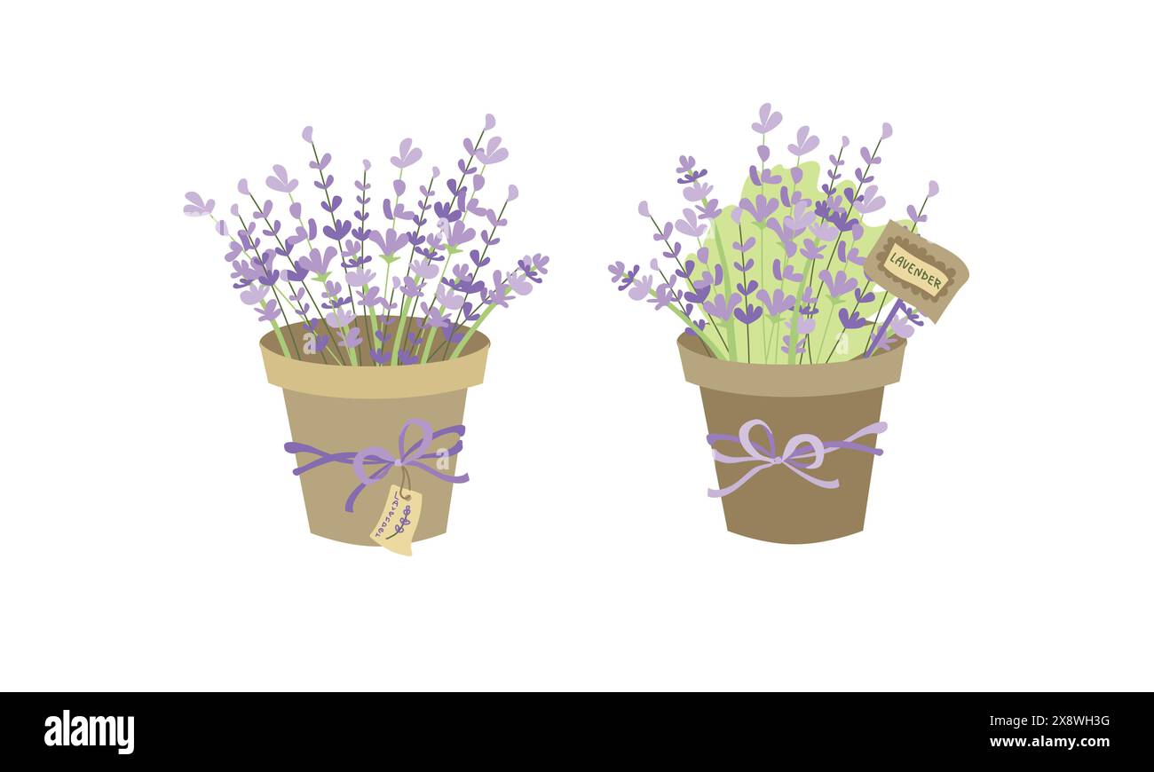 Illustrazione vettoriale della lavanda in fiore in una pentola di argilla. Graziosa illustrazione vettoriale, per adesivi, cartoline e sfondi. Illustrazione Vettoriale