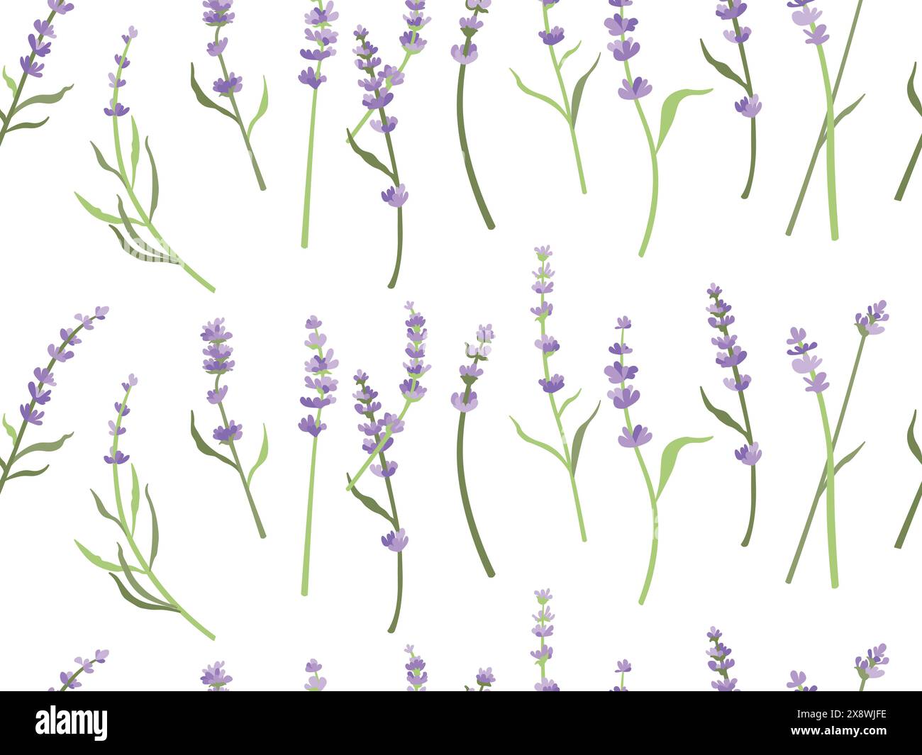 Motivo floreale senza cuciture con lavanda viola. Sfondo botanico, fiori viola francesi, stampa a ripetizione. Design con texture alle erbe fiorite e provenzale Illustrazione Vettoriale