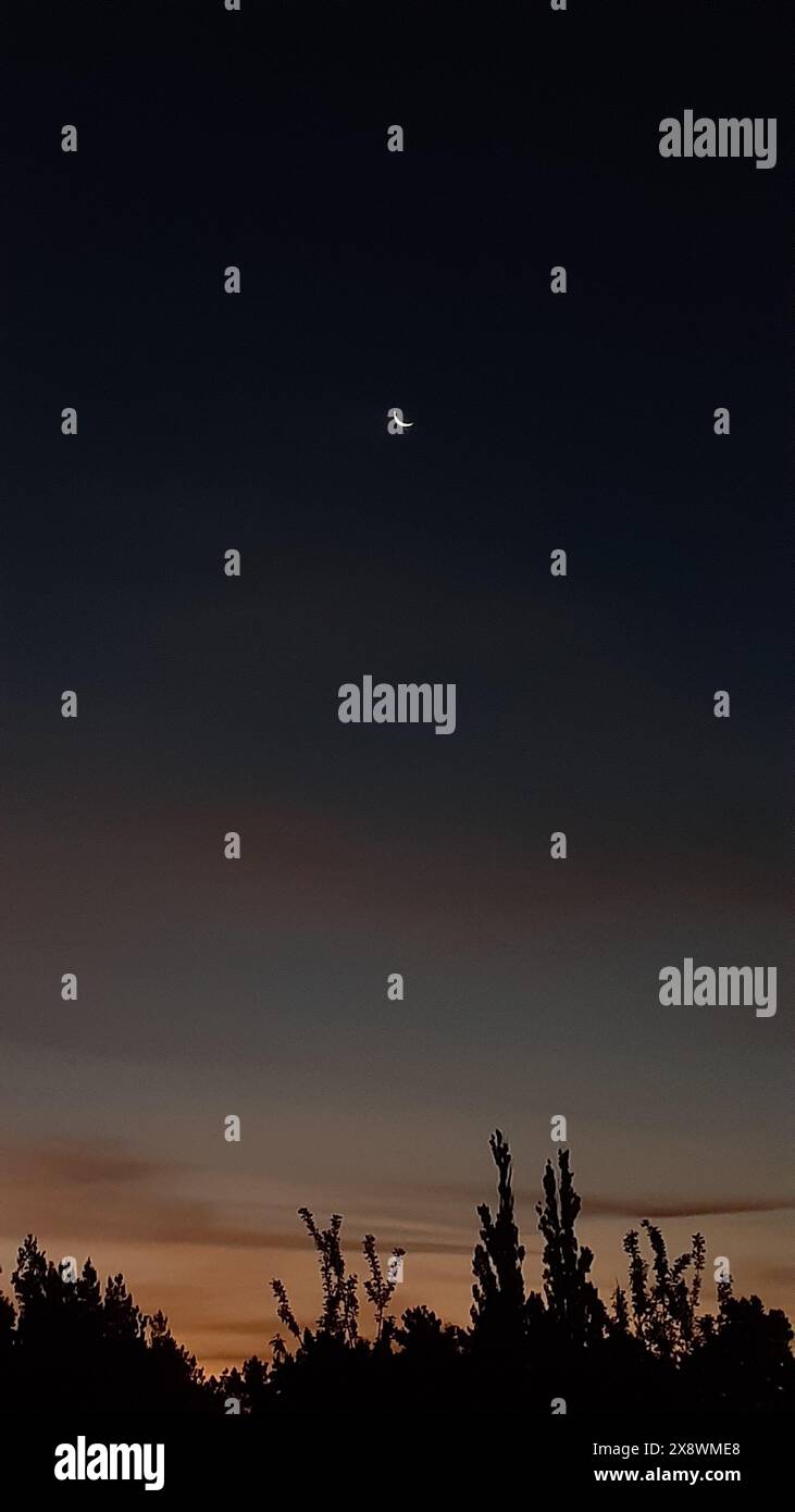 Luna a mezzaluna in un cielo notturno buio sopra alberi sagomati, con l'ultima luce del tramonto che svanisce all'orizzonte Foto Stock