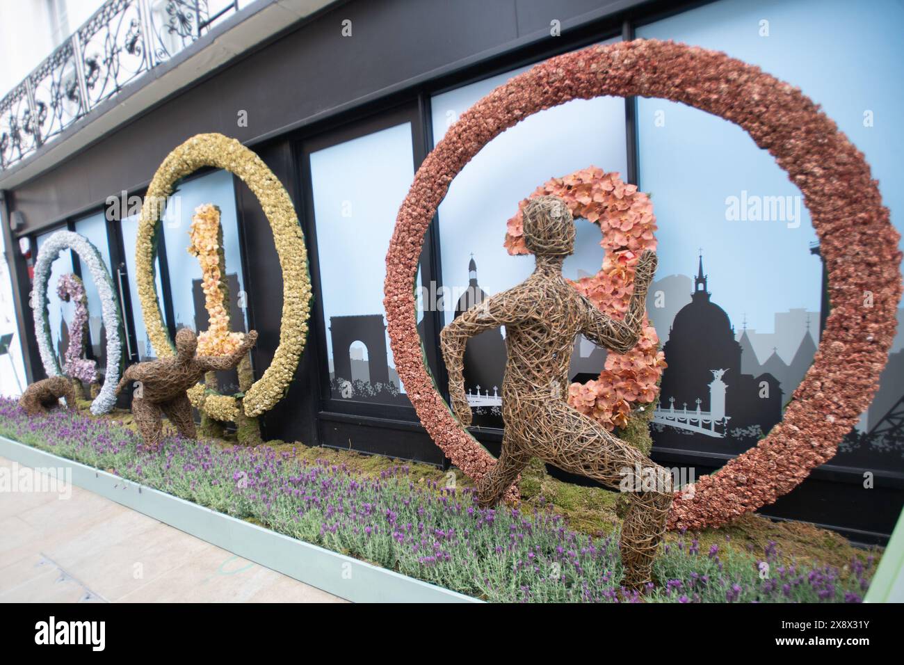 Londra, Regno Unito. 27 maggio 2024. I visitatori potranno ammirare le "Olimpiadi floreali" di Neill Strain l'ultimo giorno di Belgravia in Bloom 2024, con il tema di quest'anno "Floral Fun and Games". Credito: Justin ng/Alamy Live News Foto Stock