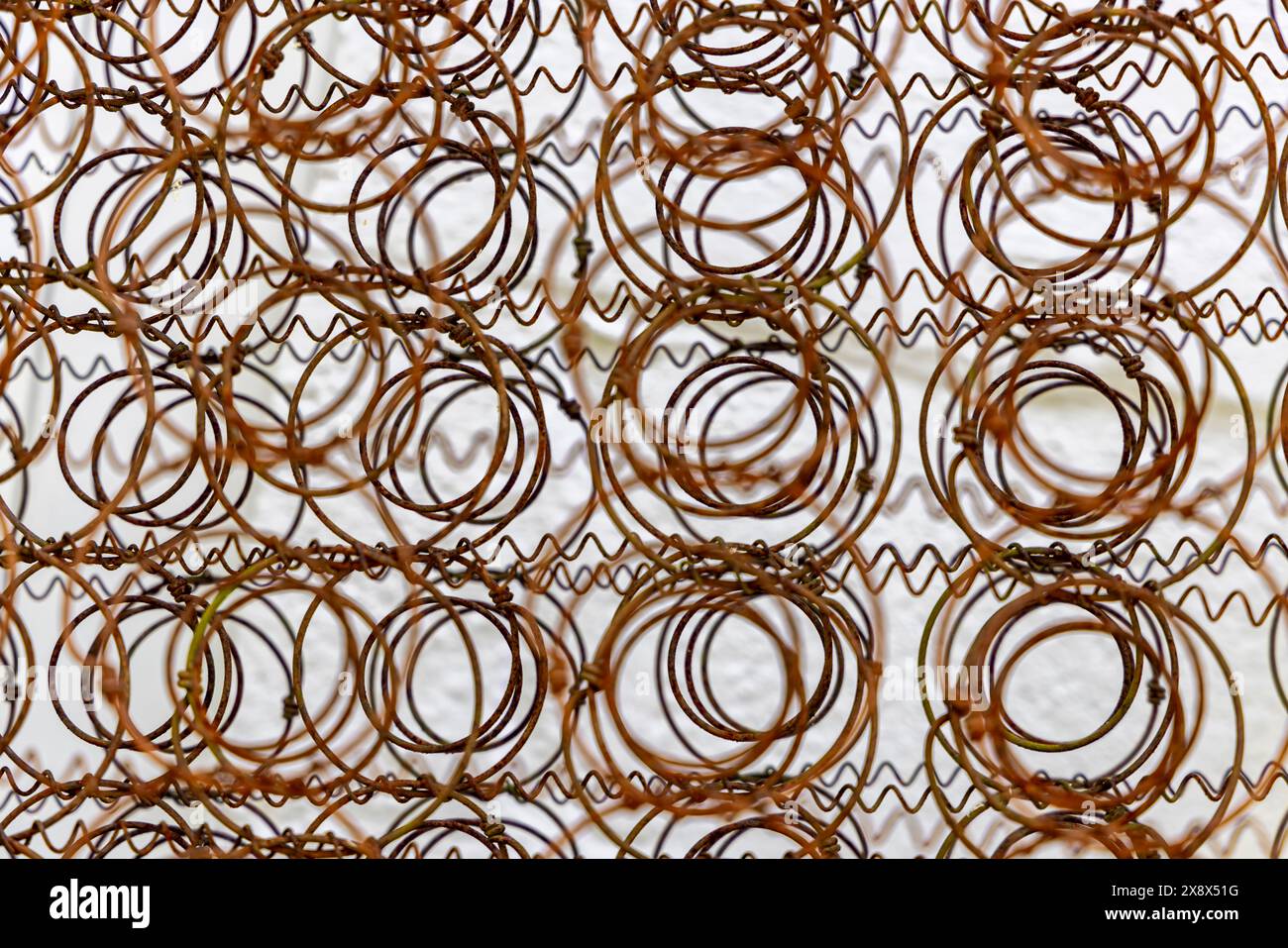 immagine dettagliata delle molle in un materasso a molle scatolate Foto Stock