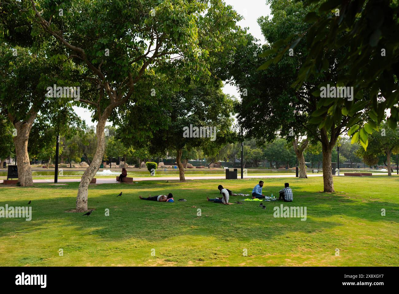 Nuova Delhi, India. 25 maggio 2024. Gli uomini riposano all'ombra degli alberi, in mezzo all'intensa ondata di caldo in una calda giornata estiva nella capitale nazionale, a nuova Delhi. La capitale nazionale e i suoi dintorni combattono il caldo intenso, con temperature che arrivano già a 45 °C. L'IMD ha emesso un allarme rosso fino a domenica, anticipando un ulteriore aumento della temperatura. L'onda di calore persiste, con previsioni di 46 °C fino a maggio 28. Allarmi rossi emessi anche per Rajasthan, Punjab e Haryana. (Foto di Amarjeet Kumar Singh/SOPA Images/Sipa USA) credito: SIPA USA/Alamy Live News Foto Stock