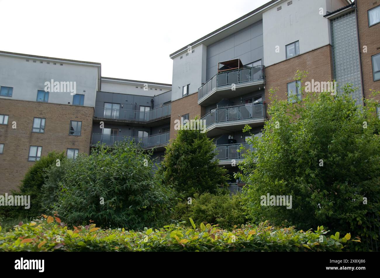 Redeveloped Market Estate; Islington, Londra, Regno Unito. Market Estate è un complesso residenziale pubblico composto da 271 appartamenti e maisonette situati sul no Foto Stock