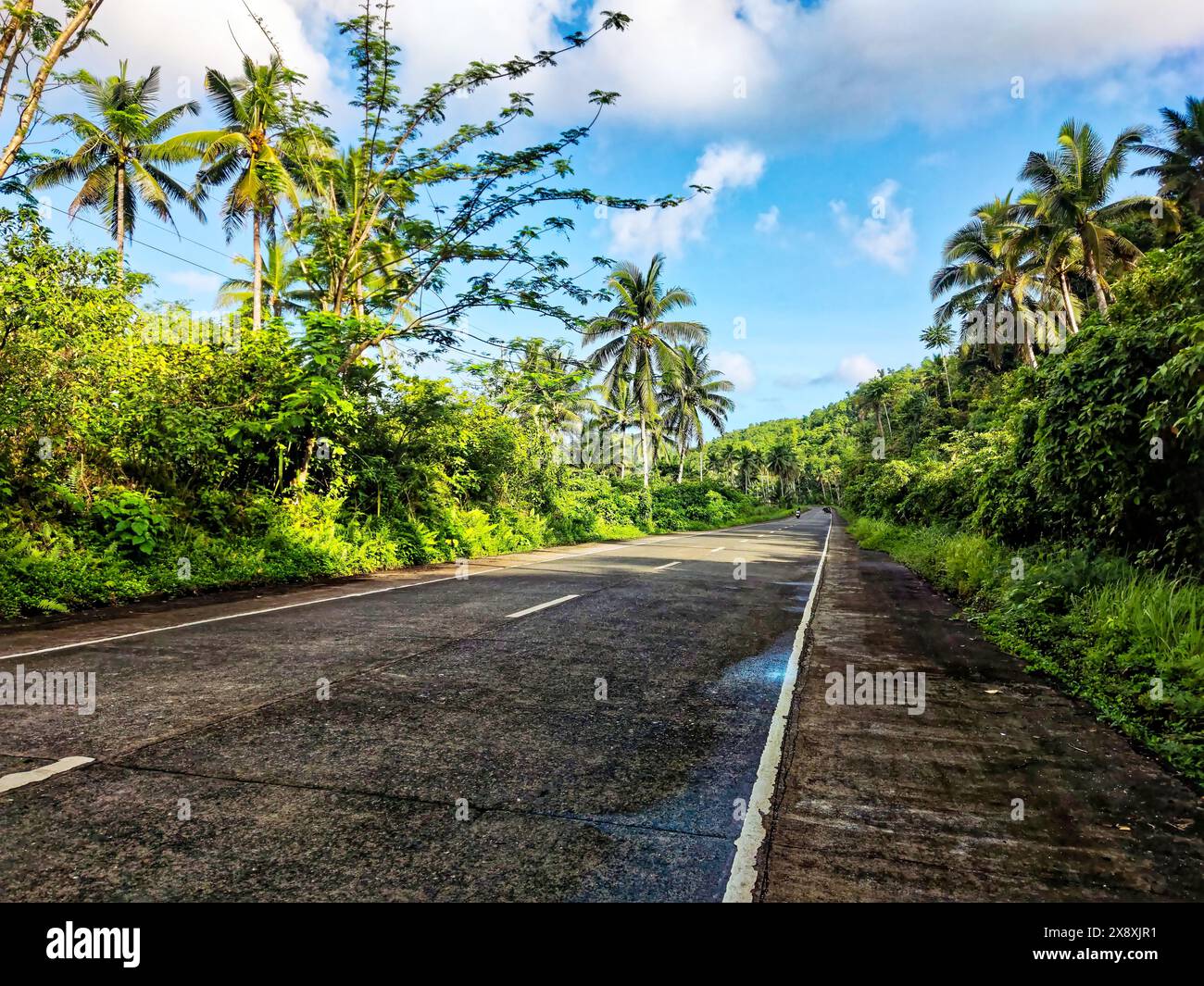 Strada provinciale a due corsie solitaria Foto Stock