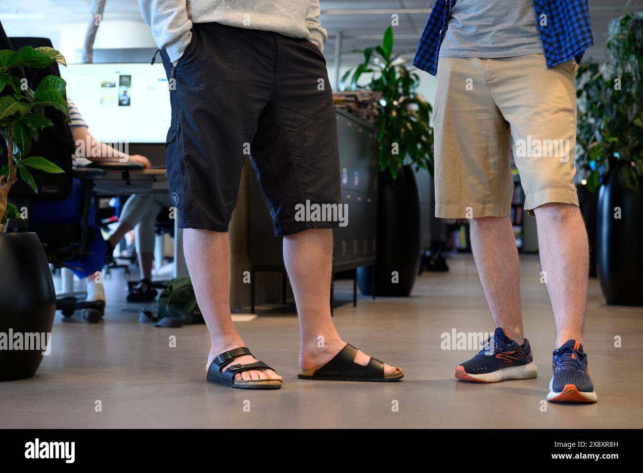 Un uomo, due uomini, che indossa pantaloncini corti in ufficio/sul posto di lavoro. Foto: Jessica Gow / TT / codice 10070 Foto Stock