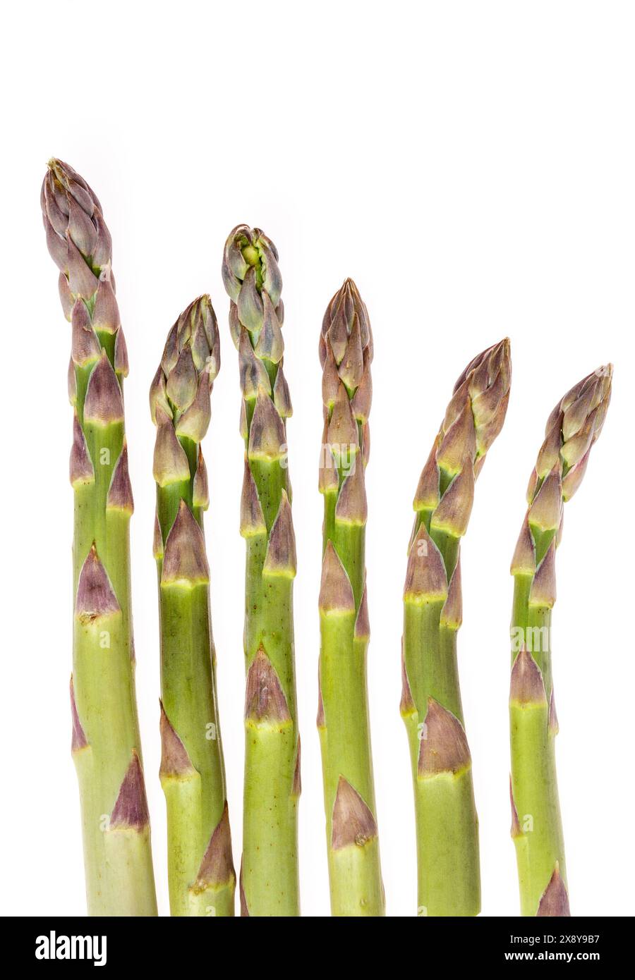 Punte di asparagi verdi su sfondo bianco Foto Stock