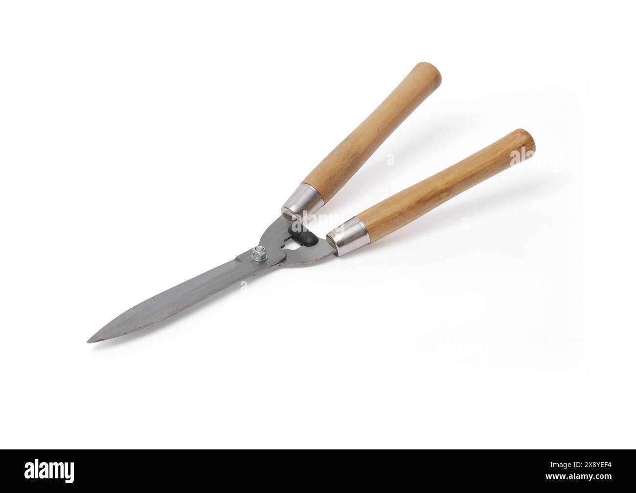 Cesoie per siepi isolate su sfondo bianco, materiali per il giardinaggio e concetto di utensili Foto Stock