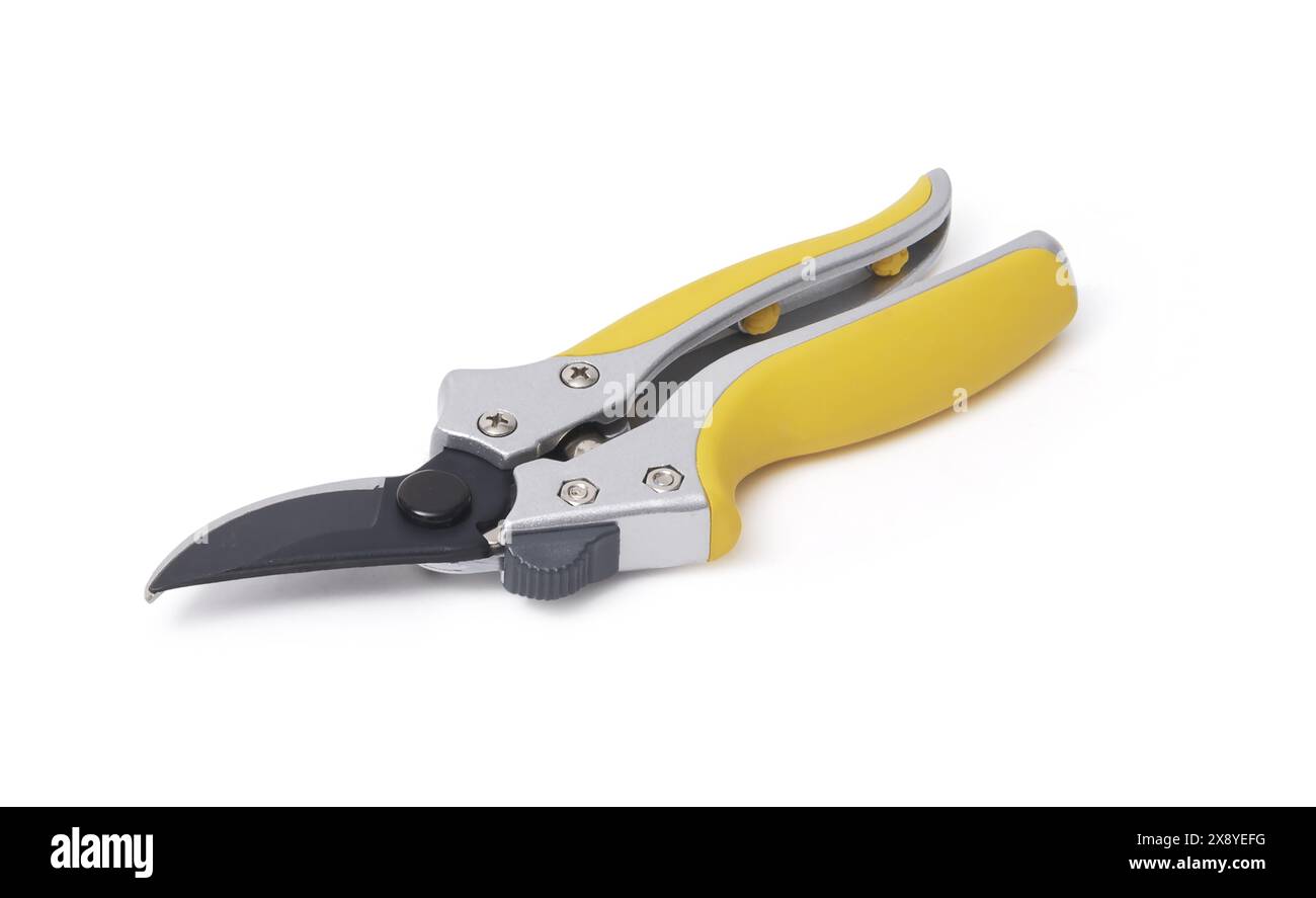 Cesoie per potatura isolate su sfondo bianco, materiali per il giardinaggio e concetto di utensili Foto Stock