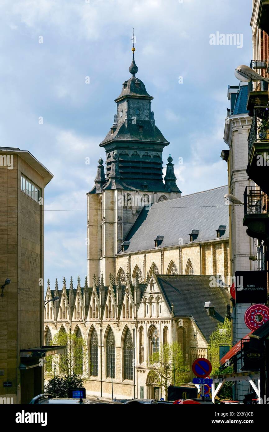 Belgio, Bruxelles, quartiere Sablon, antiquariato, mercato delle pulci e negozio di antiquariato Foto Stock