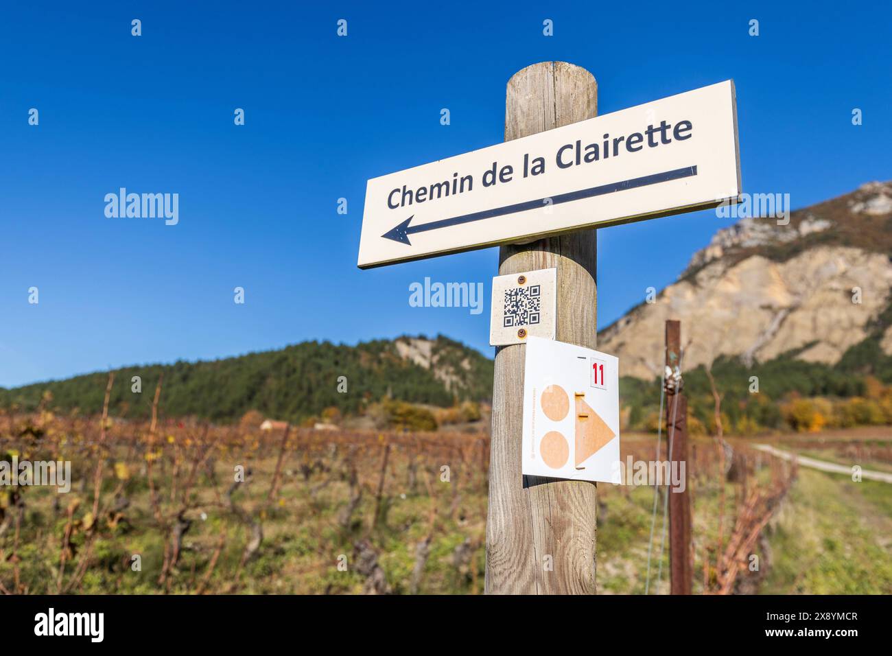 Francia, Drôme, Drôme provenzale, Châtillon-en-Diois, terreni vitati per l'elaborazione della Clairette de die Foto Stock