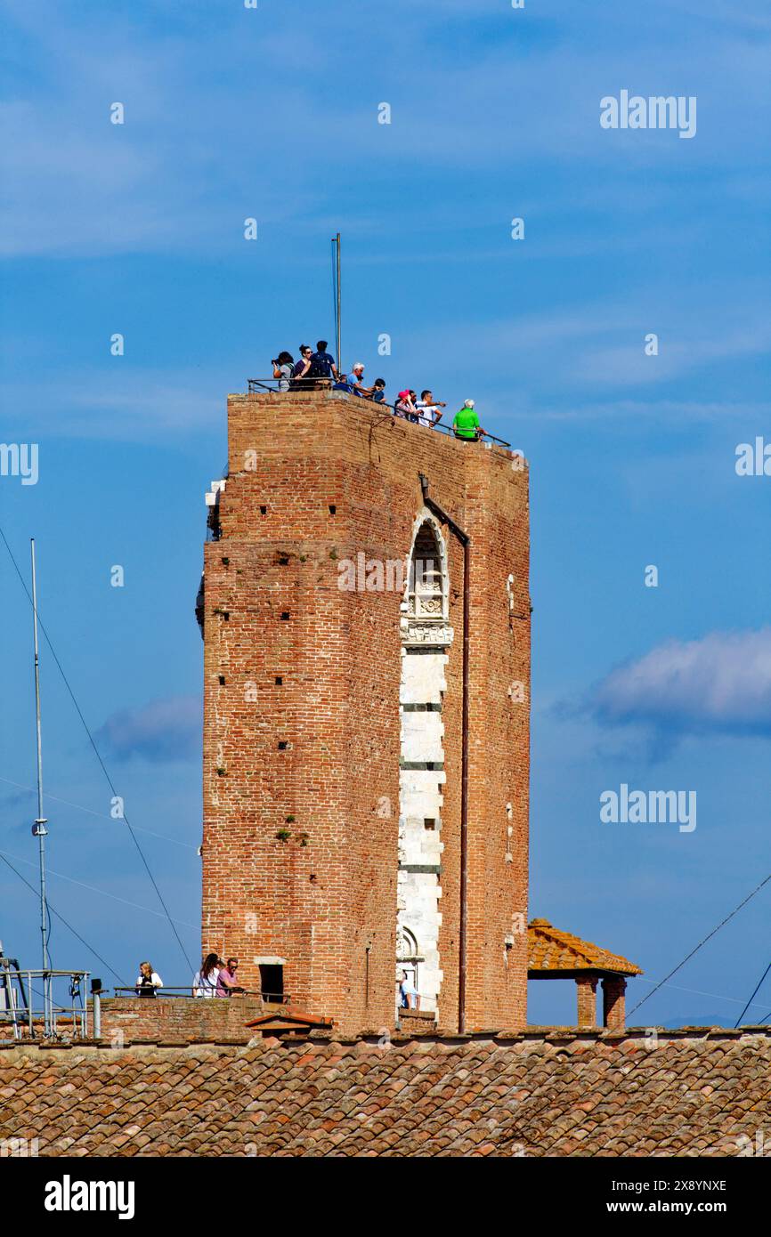 Italia, Toscana, Siena, centro storico patrimonio dell'umanità dell'UNESCO, la città vecchia, il panorama di Facciatone, punto di osservazione in cima Foto Stock