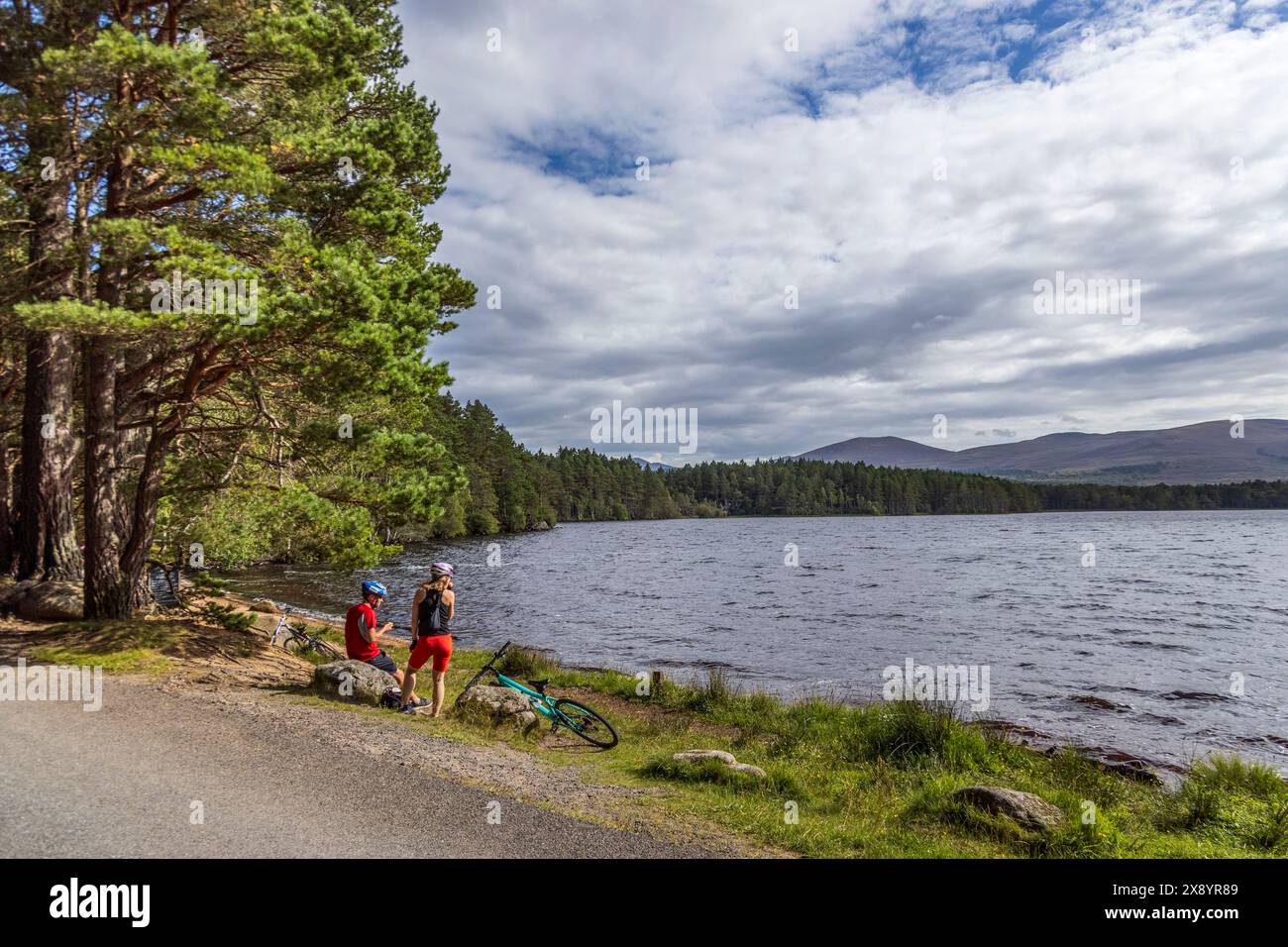Scozia, Highlands, Cairngorms National Park, Nethy Bridge, Loch Garten nella riserva naturale nazionale di Abernethy Foto Stock