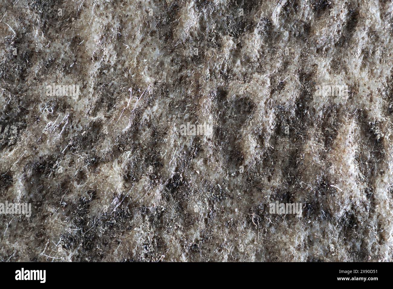 foto macro estrema del corno di cervo a riposo, messa a fuoco 4x immagine sovrapposta Foto Stock