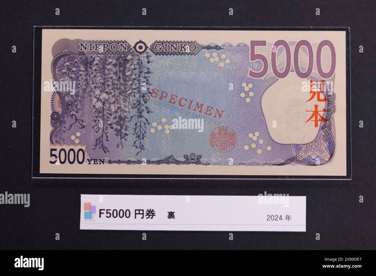 Nuova banconota giapponese da 5000 Yen in mostra all'interno del Museo della valuta dell'Istituto per gli studi monetari ed economici della Banca del Giappone. Le nuove banconote inizieranno a circolare dal 3 luglio 2024. È la prima riprogettazione da 20 anni. L'illustrazione sul retro della banconota raffigura i fiori di Fuji (gliceria giapponese). Foto Stock