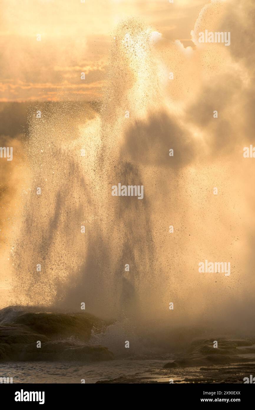 Spruzzo da geyser, Lower Geyser Basin, Yellowstone National Park, Wyoming, USA Foto Stock