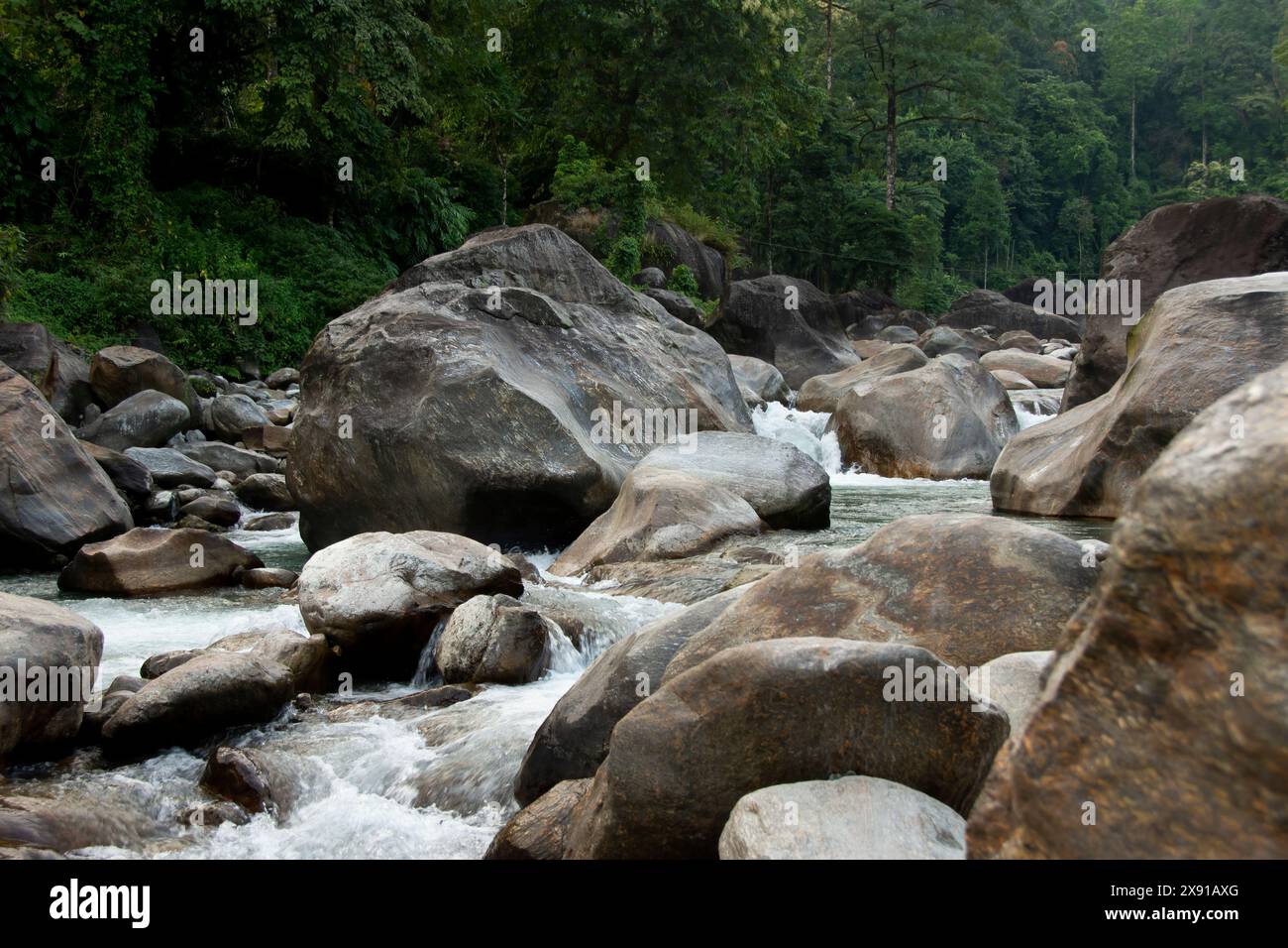 Il fiume Jaldhaka, noto anche come Dichu, è un affluente del Brahmaputra e un fiume transfrontaliero che scorre attraverso l'India, il Bhutan e il Bangladesh Foto Stock