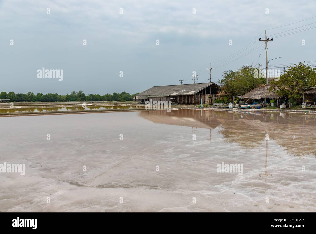 Una foto del campo di sale marino Ka Long. Foto Stock