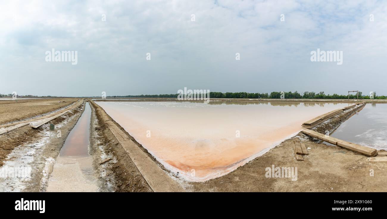 Una foto del campo di sale marino Ka Long. Foto Stock