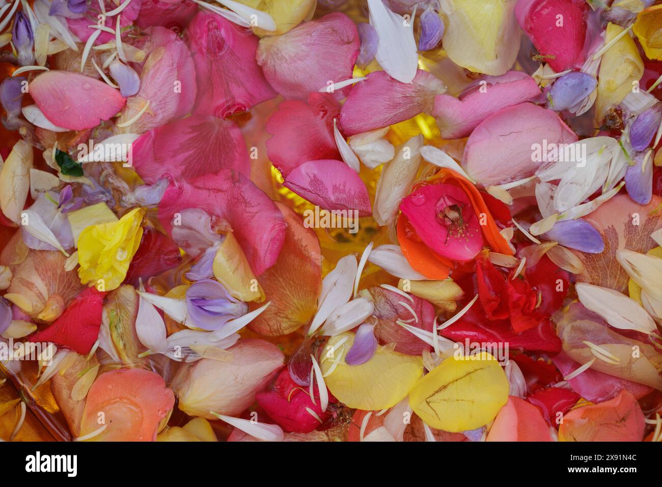 Un primo piano di un'ampia varietà di petali di fiori galleggianti sull'acqua. Foto Stock