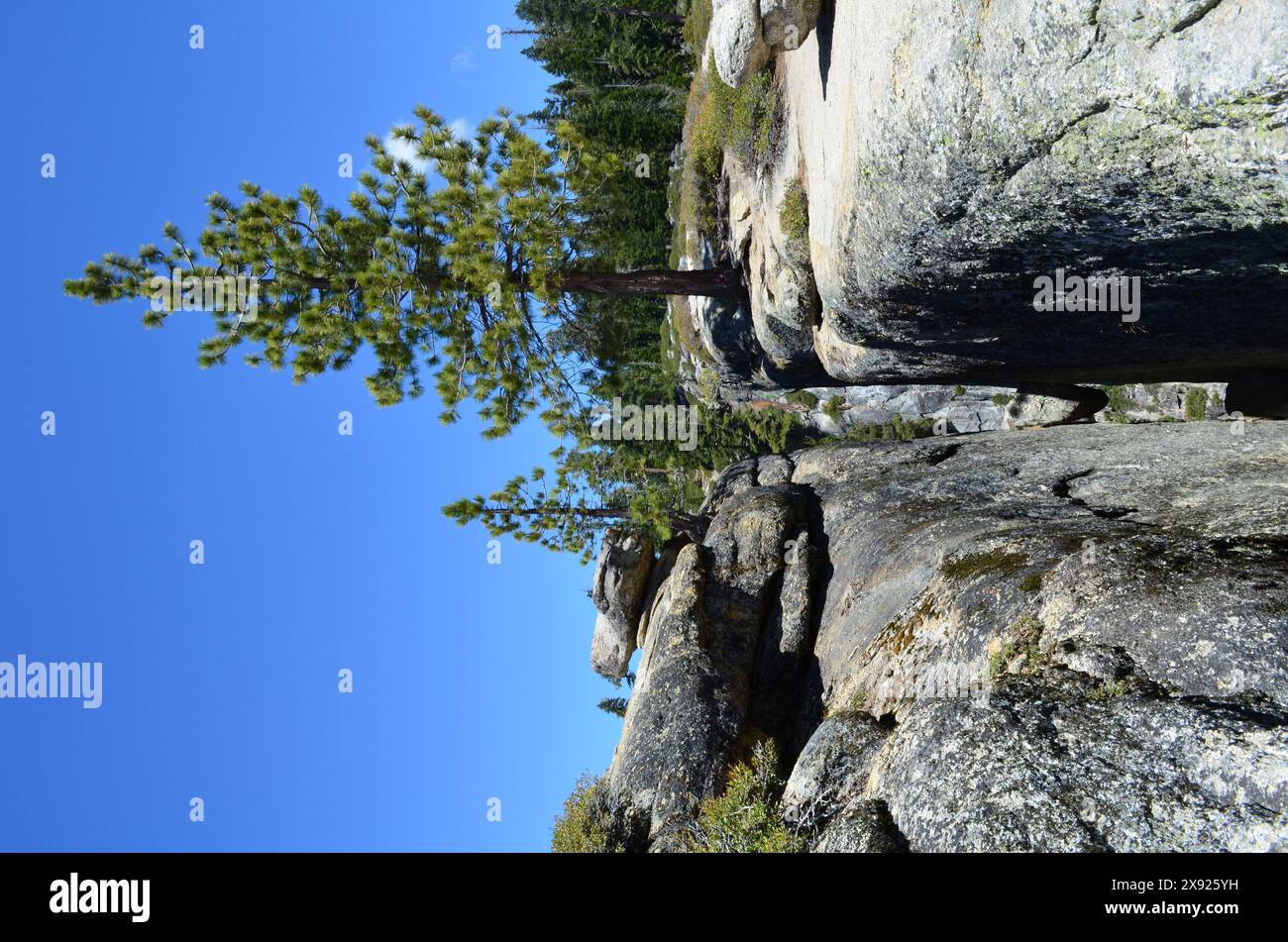 Fessure giganti, Taft Point, Yosemite National Park, California, Stati Uniti. Foto Stock