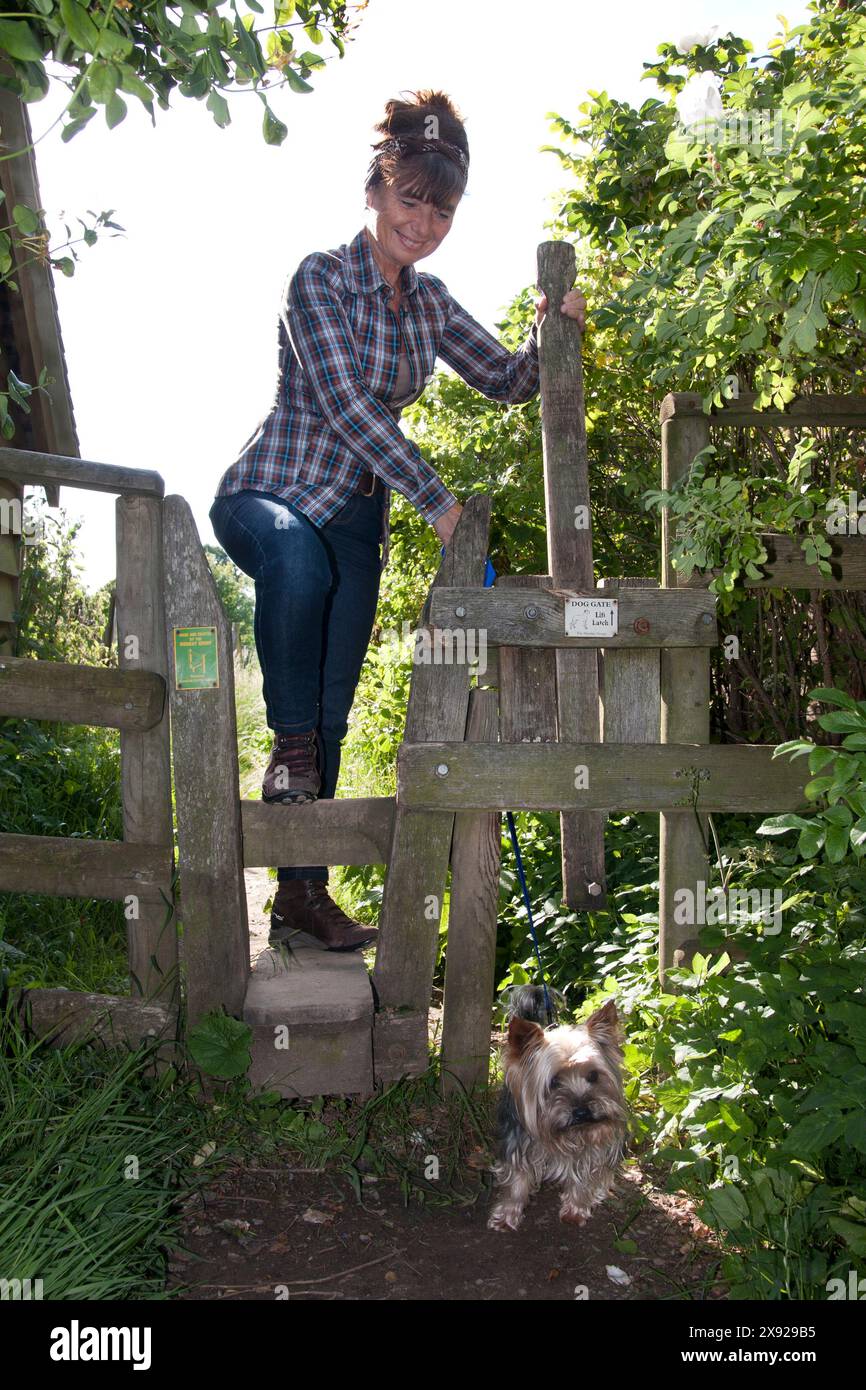 Donna che attraversa il dogway stile con yorkshire terrier, Hurstpierpoint, West Sussex, Inghilterra Foto Stock