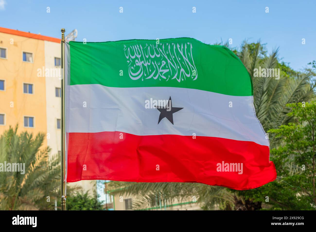 Bandiera nazionale verde, bianca, rossa del Somaliland che sventola sul vento, Hergeisa, Somaliland, Somalia Foto Stock