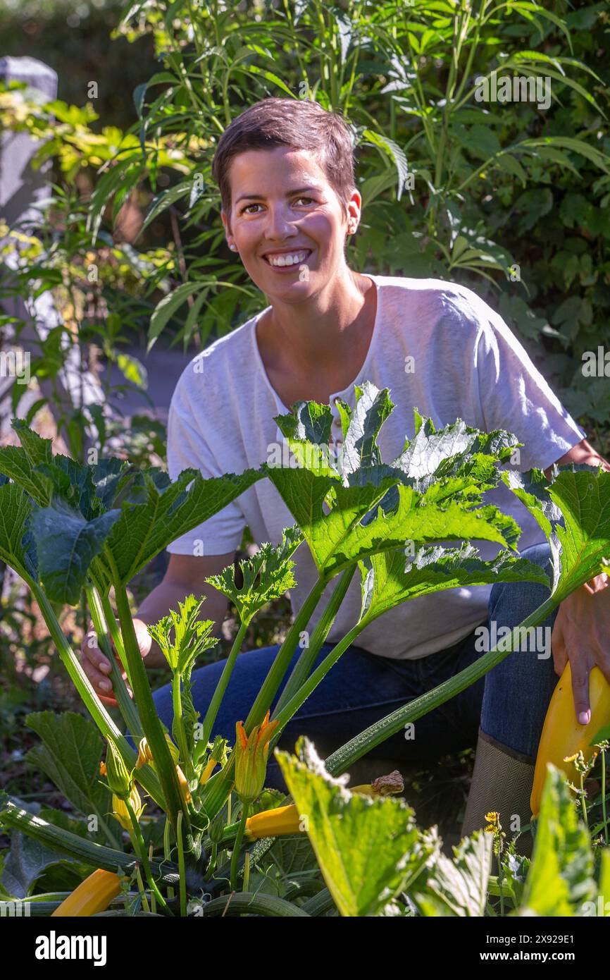 Foto verticale di una donna che raccoglie zucchine gialle - raccolta in un cerotto vegetale 016643 030 Foto Stock
