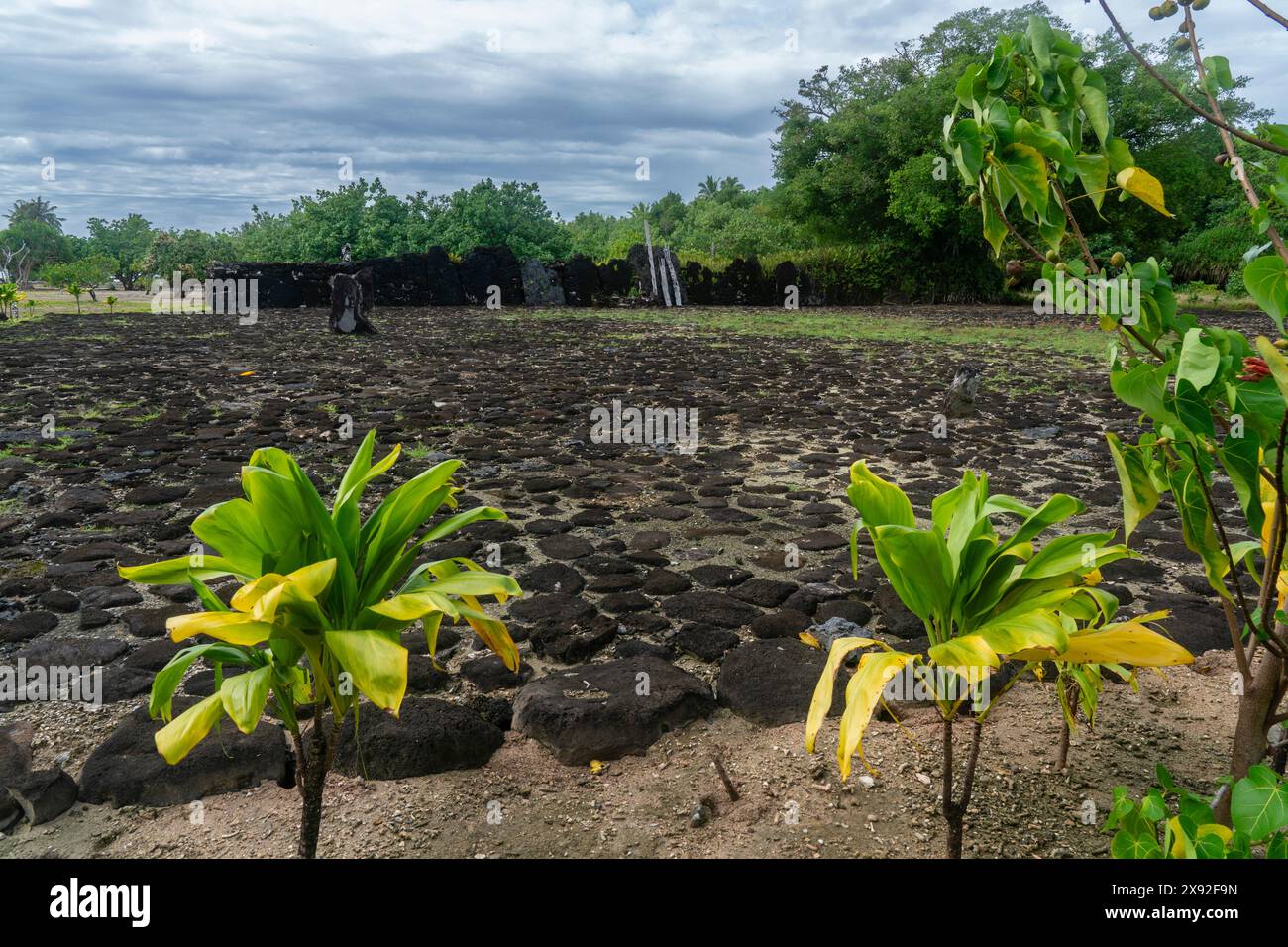 Marae Taputapuatea è un grande complesso di marae a Opoa in Taputapuatea, sulla costa sud-orientale di Raiatea, Isole della società, Polinesia francese. Foto Stock