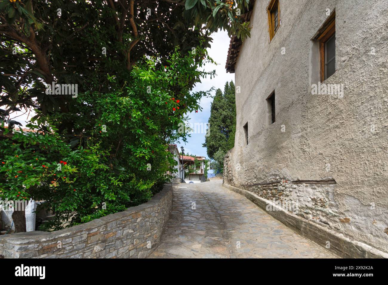 Il villaggio storico di Ampelakia, Larissa, Tessaglia, Grecia Foto Stock