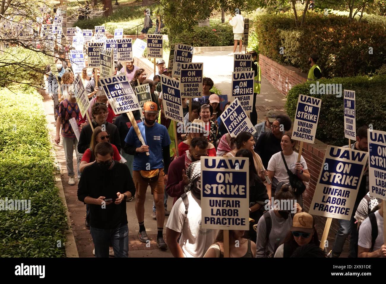 Los Angeles, Stati Uniti. 28 maggio 2024. I lavoratori accademici protestano presso l'Università della California (UC), Los Angeles, a Los Angeles, California, Stati Uniti, il 28 maggio 2024. I lavoratori accademici dell'Università della California (UC) di Los Angeles hanno abbandonato il lavoro martedì per protestare contro la gestione delle proteste pro-palestinesi da parte del sistema universitario pubblico. Crediti: Zeng Hui/Xinhua/Alamy Live News Foto Stock