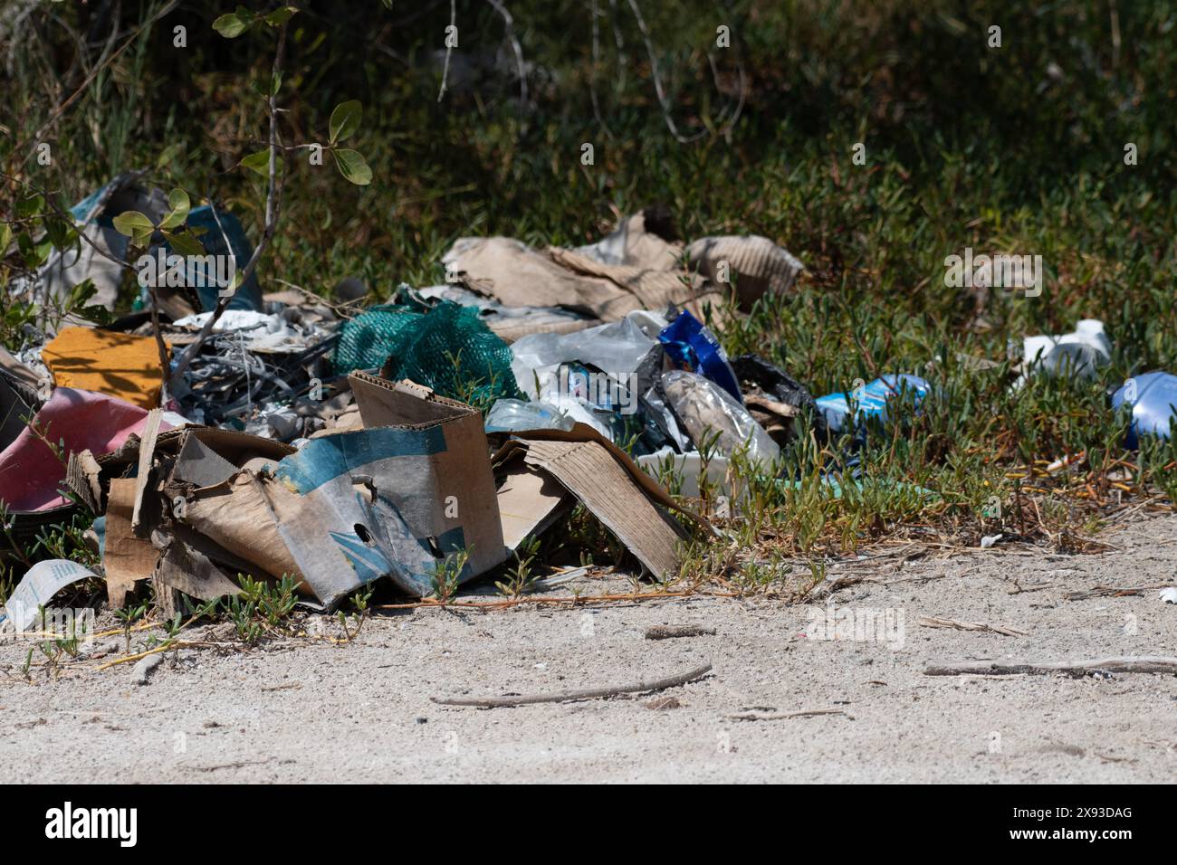 Spazzatura gettata nell'erba su una strada rurale. Concetto di tutela dell'ambiente. Niente rifiuti. Foto Stock