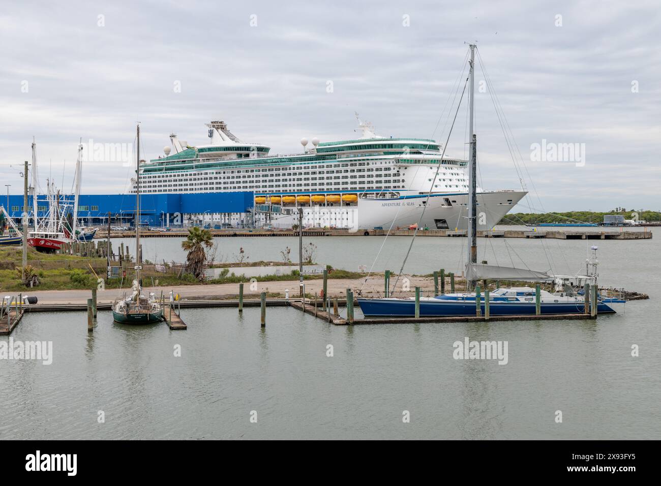 Nave da crociera Royal Caribbean Adventure of the Seas presso il porto crocieristico di Galveston a Glaveston, Texas Foto Stock