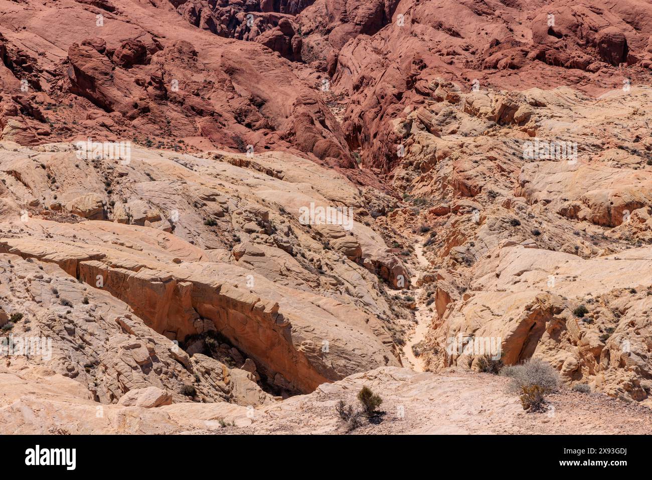 Formazioni rocciose nell'area del Fire Canyon al Valley of Fire State Park vicino a Overton, Nevada Foto Stock