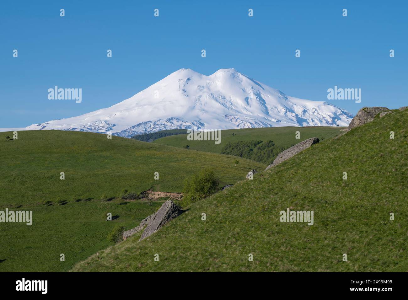 Il Monte Elbrus innevato in un paesaggio estivo in una soleggiata mattina di giugno. Kabardino-Balkaria, Federazione Russa Foto Stock