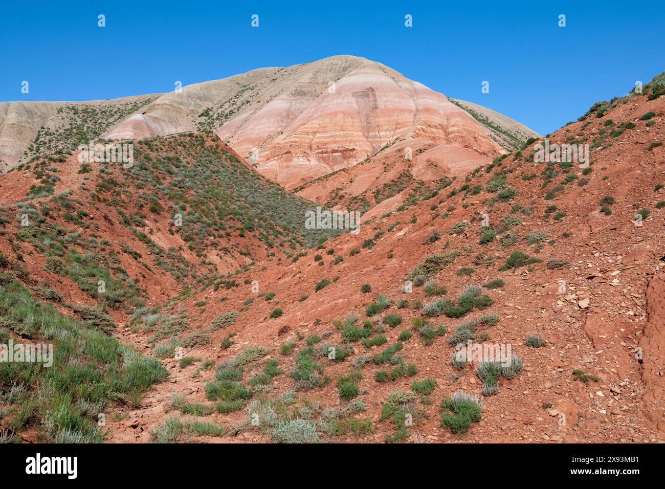 Monte Bolshoye Bogdo in un giorno di maggio soleggiato. Regione di Astrakhan, Russia Foto Stock