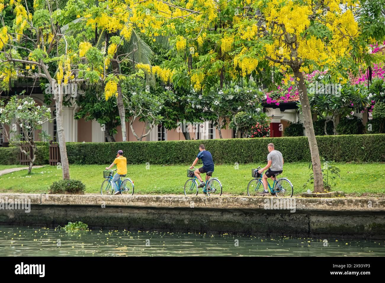 Tre uomini pedalano su un sentiero lungo un fiume nella città vecchia di Hoi An Vietnam. Un gruppo di ciclisti lungo una strada asfaltata lungo un bel fiume. Ciclisti Foto Stock