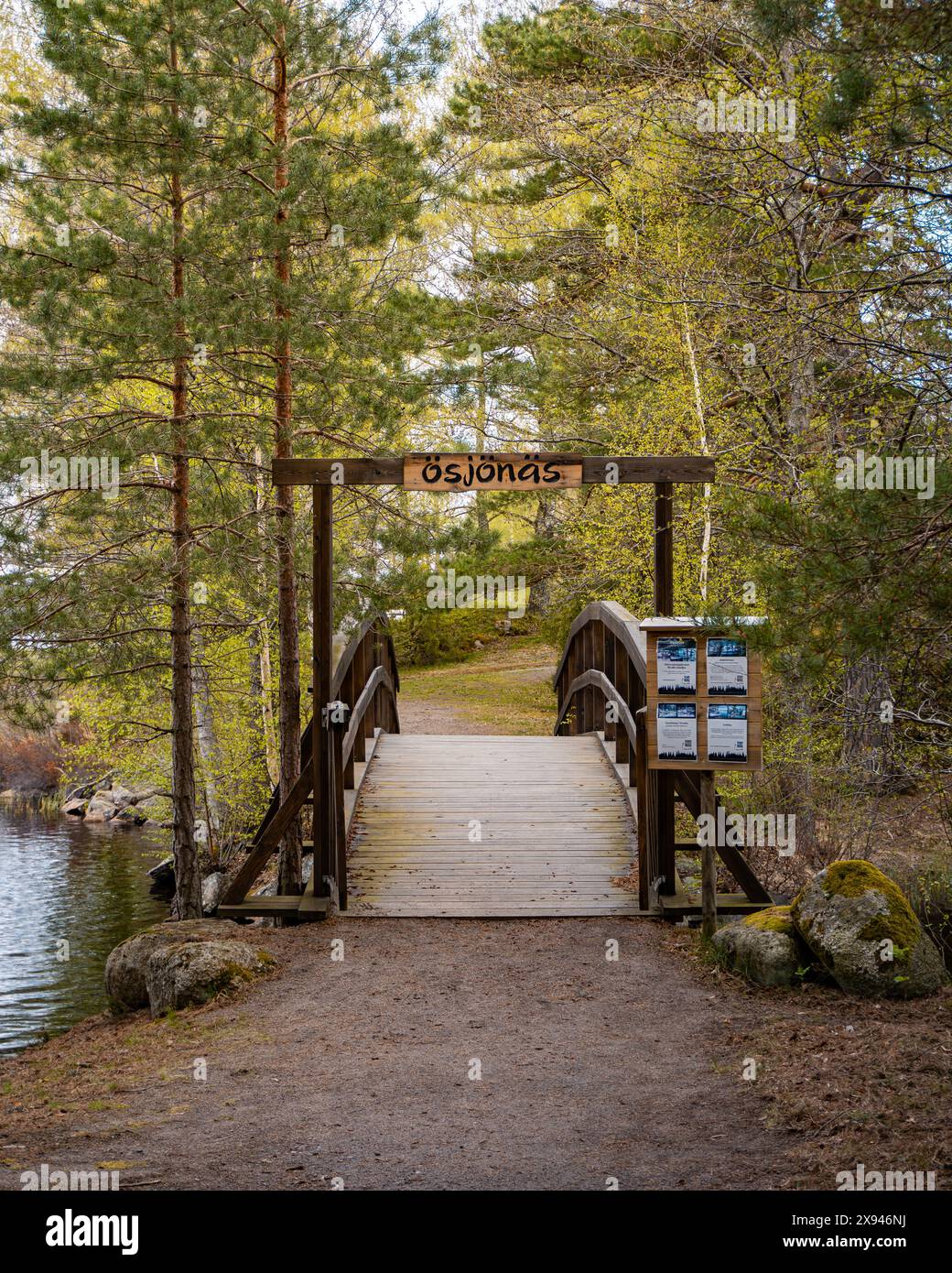 Un ponte di legno su un torrente di foresta, che cattura il fascino rustico e la bellezza naturale di un'area boschiva. Foto Stock
