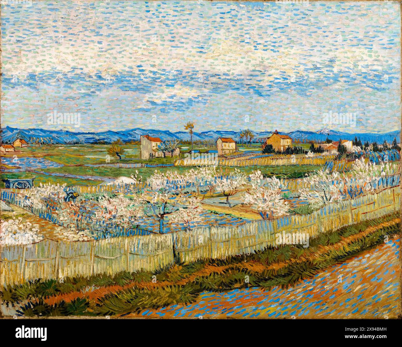 Vincent van Gogh, Peach Trees in Blossom, pittura di paesaggio in olio su tela, 1889 Foto Stock