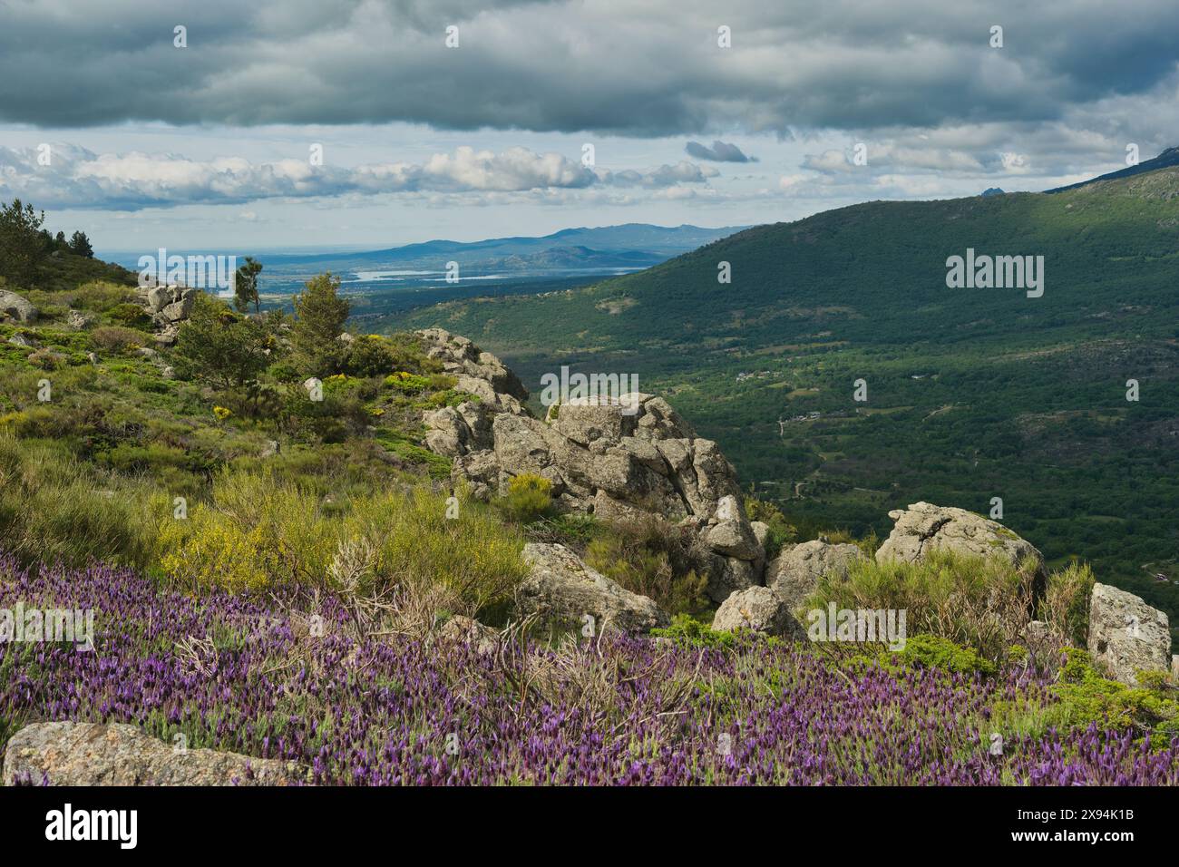 paesaggio montano primaverile in una giornata soleggiata e limpida sulle montagne della sierra de guadarrama vicino a madrid in spagna Foto Stock