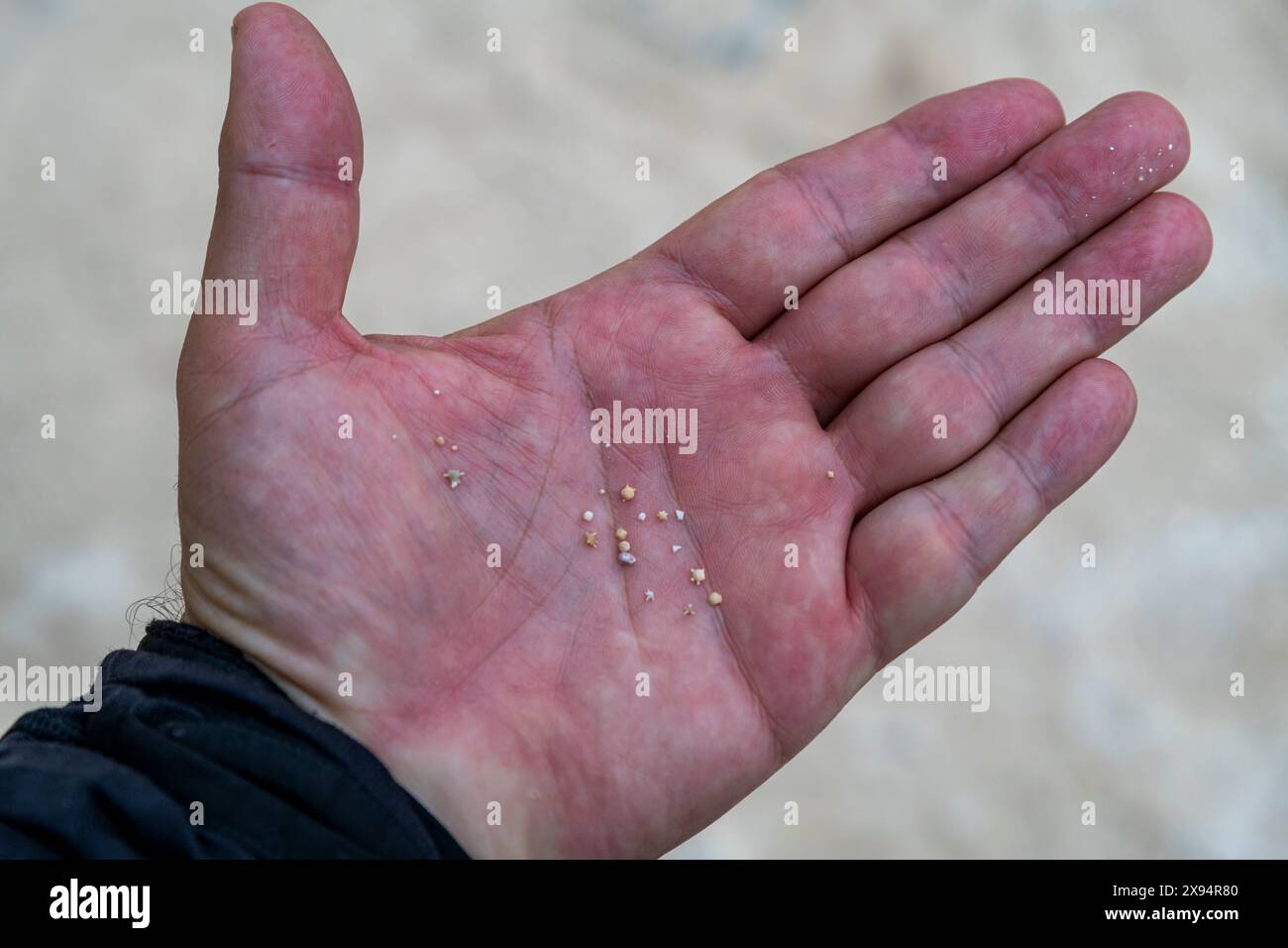 Primo piano di Star Sand, Parco Nazionale dell'Isola di Taketomi, Ishigaki, gruppo di isole Yaeyama, Giappone, Asia Foto Stock